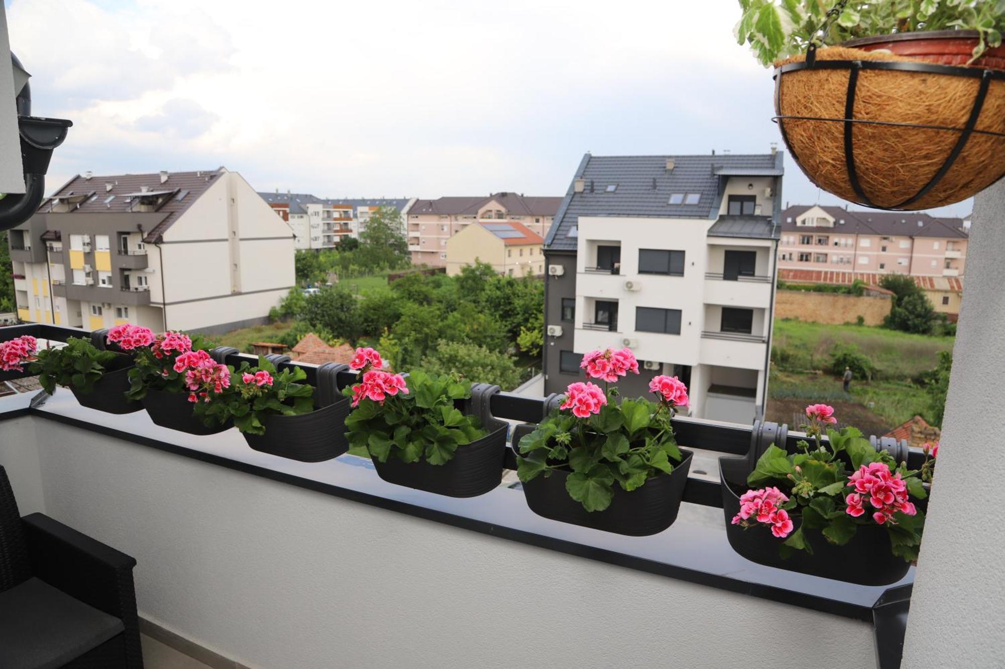 Apartment Mirjana